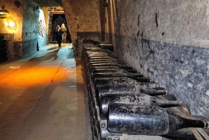 Full Day Pommery Small Group Tour