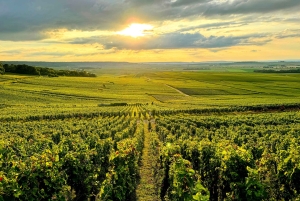 Full Day Pommery Small Group Tour