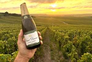 Full Day Pommery Small Group Tour