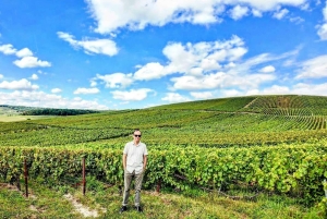 Full Day Pommery Small Group Tour