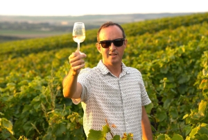 Full Day Pommery Small Group Tour