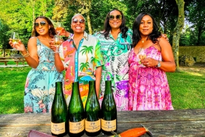 Full Day Pommery Small Group Tour