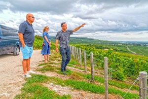 Full Day Pommery Small Group Tour