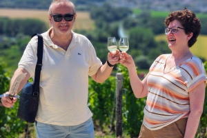 Full Day Pommery Small Group Tour