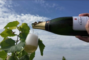 Full Day Pommery Small Group Tour