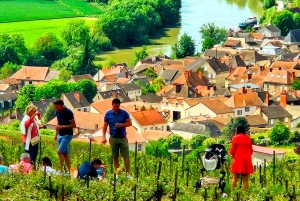 Full Day Pommery Small Group Tour