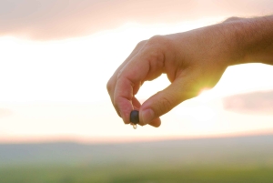 Full Day Pommery Small Group Tour