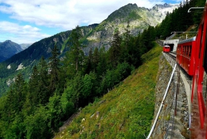 Full-day private tours from Geneva to Chamonix