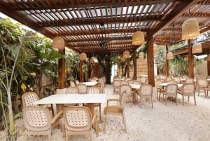 Dagvullende tour Cozumel in catamaran met snorkelen en lunch