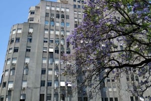 Full Day Tour with a Cultural Perspective + Palacio Barolo