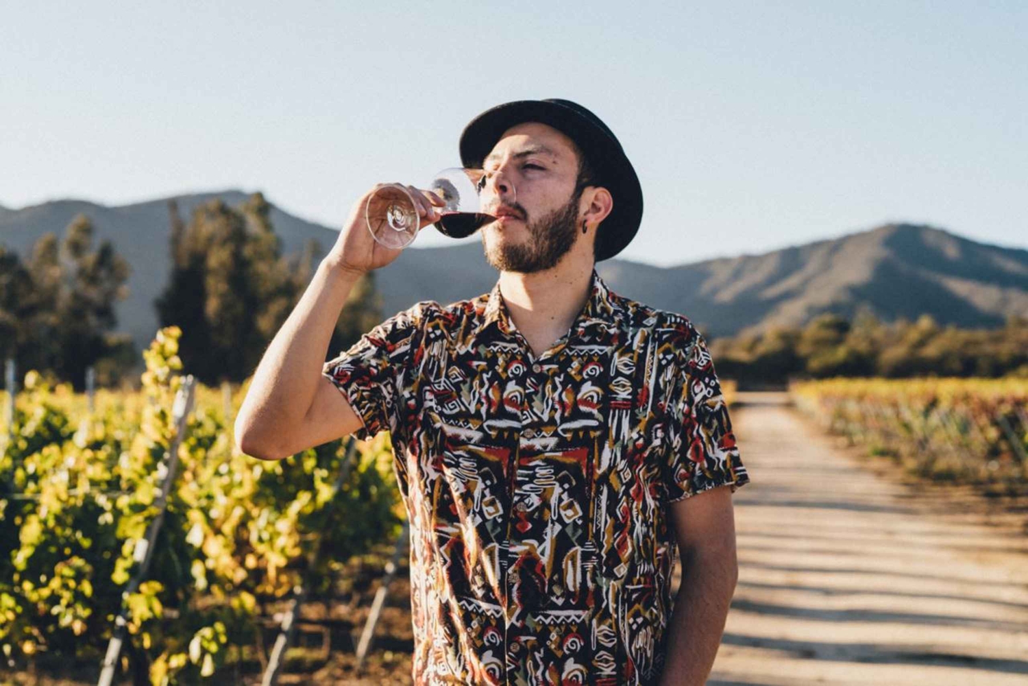 Dagvullende privétour naar Valparaiso en de Casablanca-vallei