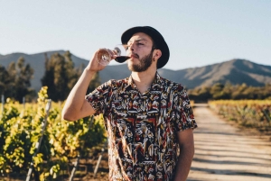 Dagvullende privétour naar Valparaiso en de Casablanca-vallei