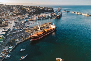 Dagvullende privétour naar Valparaiso en de Casablanca-vallei