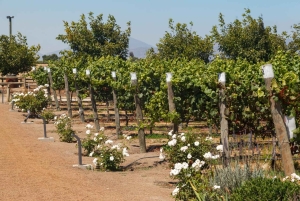 Dagvullende privétour naar Valparaiso en de Casablanca-vallei