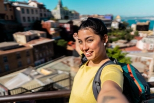 Dagvullende privétour naar Valparaiso en de Casablanca-vallei