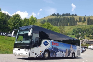 Geneva: Transfer from Geneva to Chamonix