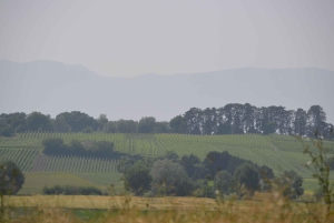 Évadez-vous de Genève Dégustation de vins Apéritif, château en vélo électrique