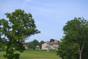 Évadez-vous de Genève Dégustation de vins Apéritif, château en vélo électrique