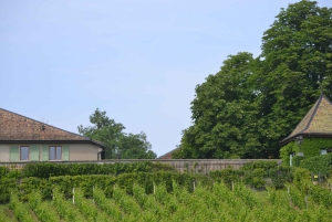 Évadez-vous de Genève Dégustation de vins Apéritif, château en vélo électrique