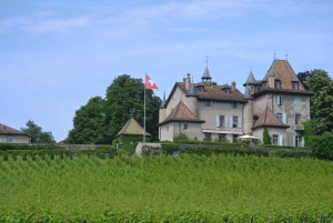 Évadez-vous de Genève Dégustation de vins Apéritif, château en vélo électrique