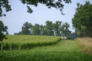 Évadez-vous de Genève Dégustation de vins Apéritif, château en vélo électrique