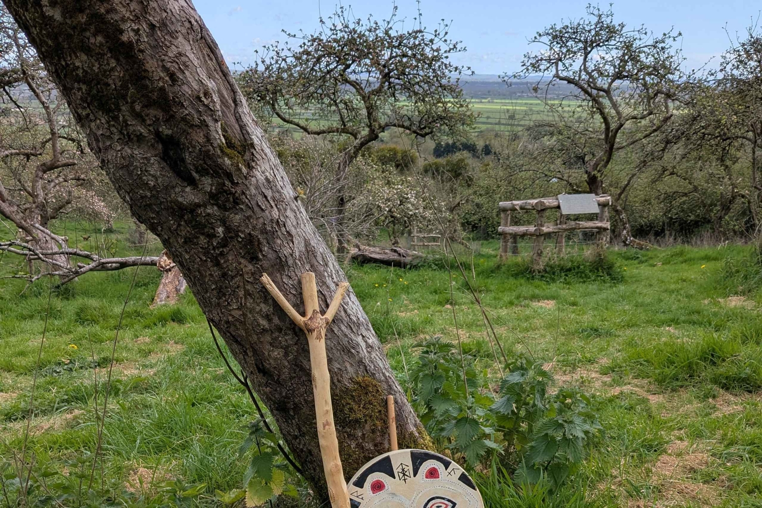 Glastonbury : visite guidée d'Avalon avec un chaman celtique