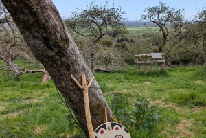 Glastonbury : visite guidée d'Avalon avec un chaman celtique