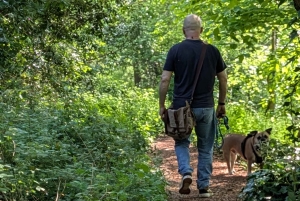 Glastonbury : visite guidée d'Avalon avec un chaman celtique