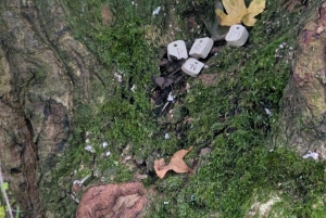 Glastonbury : visite guidée d'Avalon avec un chaman celtique