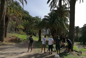 Gran Canaria: Camel Ride at Camel Safari Park