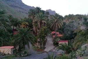 Gran Canaria: Camel Ride at Camel Safari Park