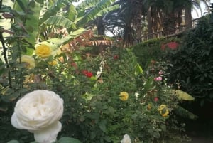 Gran Canaria: Camel Ride at Camel Safari Park