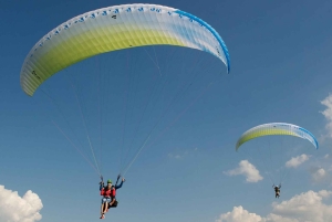 Grenoble: Experiencia de parapente Sensation