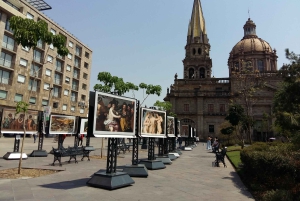 Guadalajara: Culture, Architecture, and Market Walking Tour