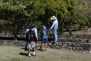 Guadalajara: Guachimontones pyramids Archaeological Site
