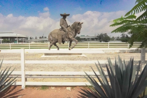Guadalajara: Lake Chapala and Ajijic Day Trip with Boat Trip