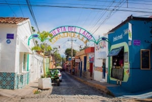 Guadalajara: Lake Chapala and Ajijic Day Trip with Boat Trip