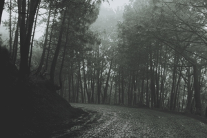 Guadalajara - Mazamitla: Motorradtour