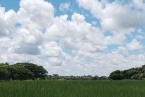 グアナカステ: カーニャス ドゥルセスのハイキングと川 - リンコン デ ラ ビエハ