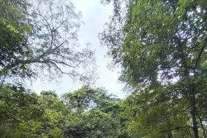 グアナカステ: カーニャス ドゥルセスのハイキングと川 - リンコン デ ラ ビエハ