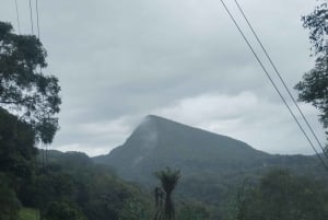 グアナカステ: カーニャス ドゥルセスのハイキングと川 - リンコン デ ラ ビエハ