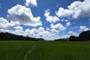 グアナカステ: カーニャス ドゥルセスのハイキングと川 - リンコン デ ラ ビエハ