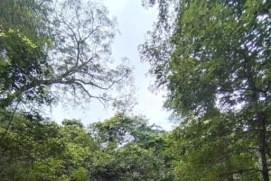 グアナカステ: カーニャス ドゥルセスのハイキングと川 - リンコン デ ラ ビエハ