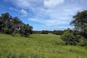 グアナカステ: カーニャス ドゥルセスのハイキングと川 - リンコン デ ラ ビエハ