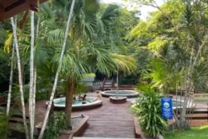 Guanacaste: Deluxe Combo-opplevelse på Rincón de la Vieja