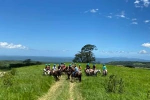 Guanacaste: Deluxe Combo-opplevelse på Rincón de la Vieja