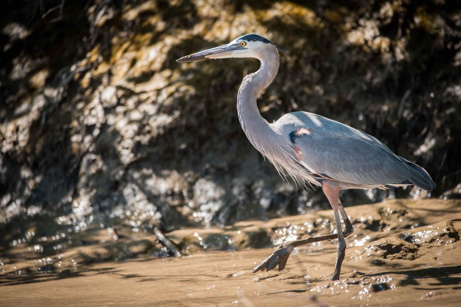 Guanacaste: Palo Verde Boat Tours