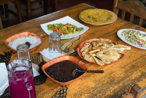 グアナカステ：パロ ベルデ ボート ツアー