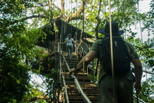 Guanacaste: Retiro de lujo en la selva tropical Sensoria con almuerzo