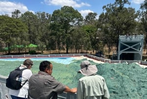 Guatemala City: discover the historic and modern area of this beautiful city